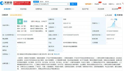 科大訊飛在南充成立全資子公司 聚焦科技服務，輻射區域經濟